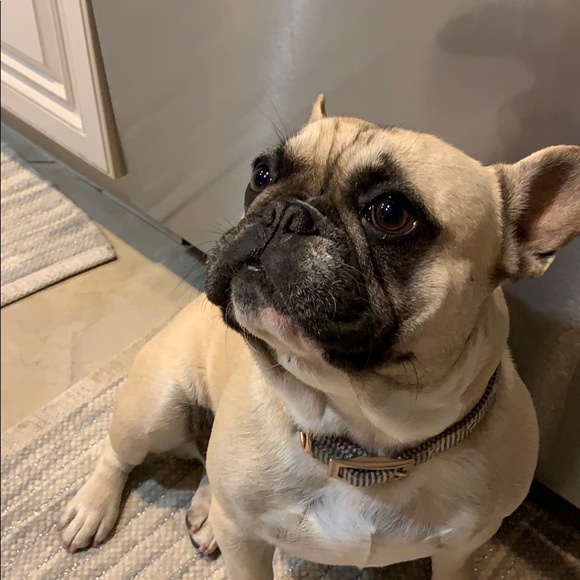 Meet your Posher, Rabiyah - Picture 1 of 1